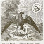 las plumas del fenix