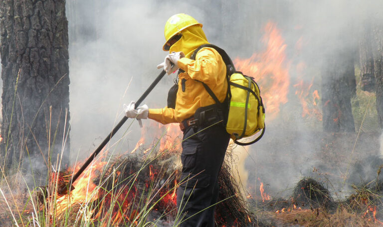 Incendios forestales 2