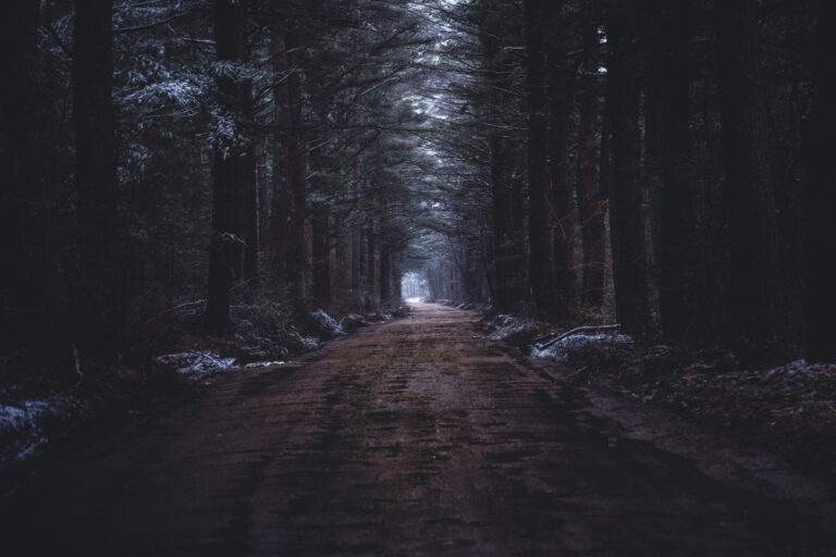 bosque oscuro nostalgia frio miedo mechero poesía