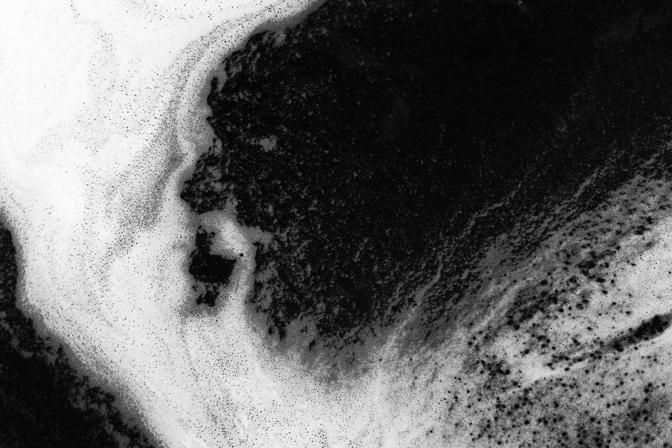 9.-Fernando Castañeda (2)