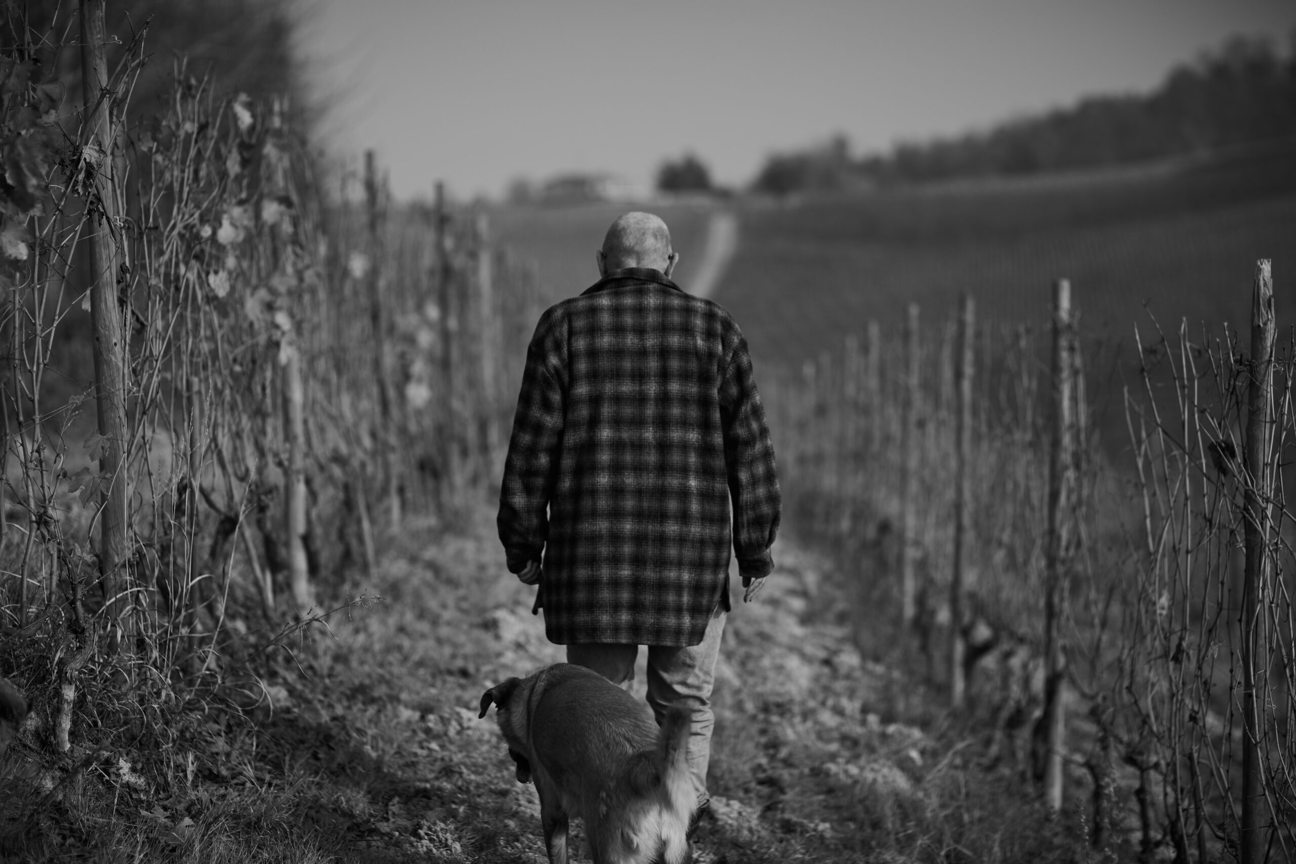 Grayscale shot of a man with his dog walking on a small road with a blurred background