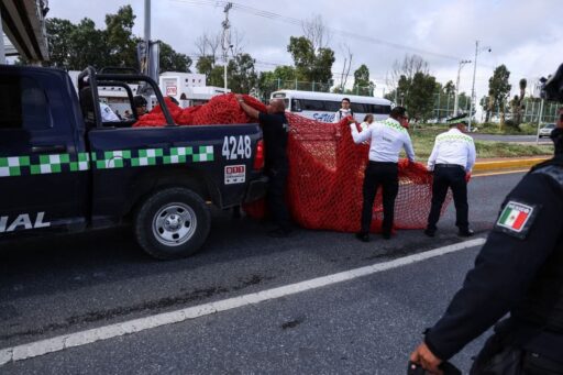 WhatsApp Image 2025-09-08 at 1.42.47 PM