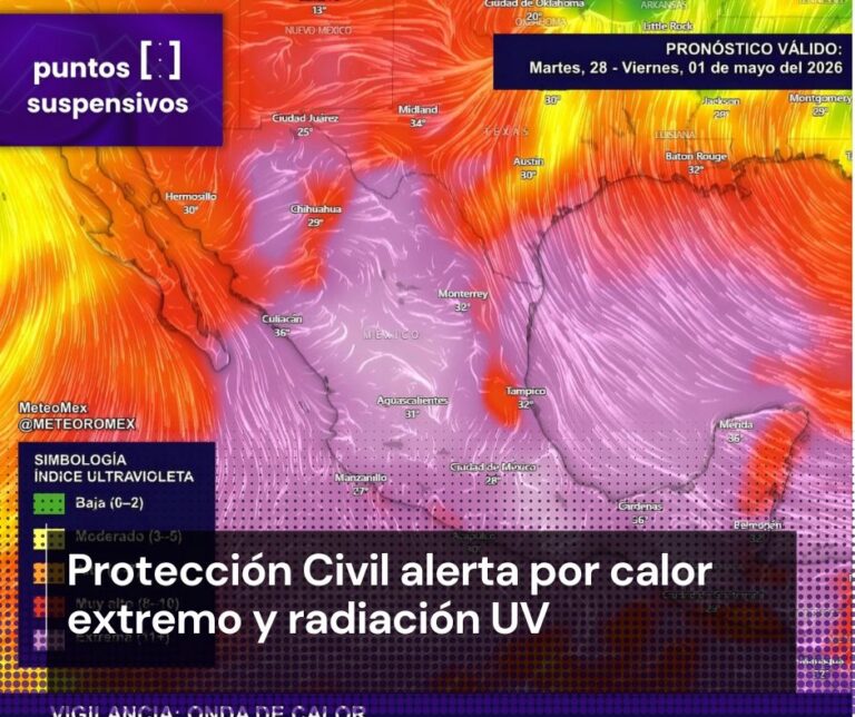 WhatsApp Image 2026-04-28 at 9.07.44 AM