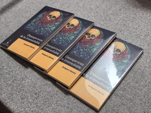 photo_5098162155458071568_y