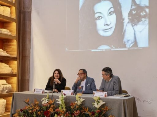 photo_5098162155458071570_y