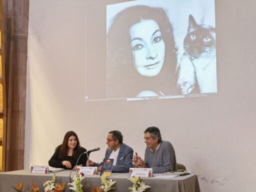 photo_5098162155458071573_y